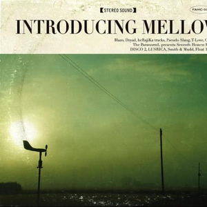 五月亭亭激情五月
