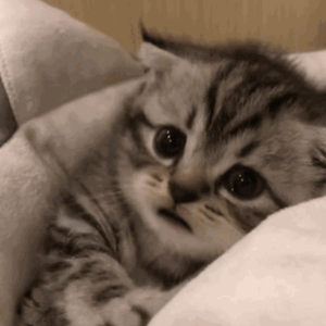 五月亭亭激情五月
